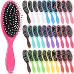 Suclain 30 Pieces Wet Hair Brushes 