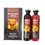 COLOR BEAUTÉ Mix Fruit Wine Hair Dye Gel for Men, Women Natural Organic Hair Color for Hair Dye Use (500ml x 2)- Black