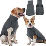 Hjyokuso Dog Jumper Dog Fleece Vest Sweater Stretch Sweatshirt, Warm & Lightweight Pullover Pajama Dog Coat, Autumn Winter Cold Weather Puppy Clothes Jacket for Small Medium Large Dogs (Black XS)