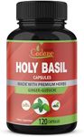 Organic Holy Basil Capsules 2250MG with Ginger, Guduchi Extract | Anti Anxiety Stress Relief Supplements | Supports Calm Down & Immune System Herbal | India Tulsi Powder Energy Booster, 120 Caps