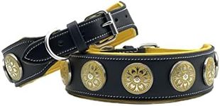 Leather dog collar, collar, leather