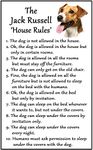 Jack Russell Terrier Gift - House Rules - Large Fun flexible Fridge Magnet- size 16cms x 10 cms (approx. 6" x4")