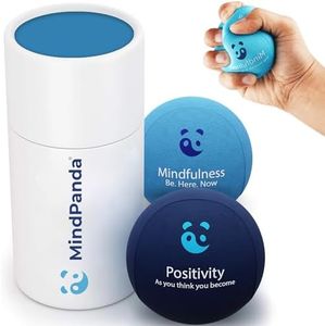 MindPanda 