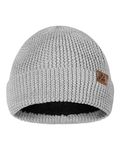 DANISH ENDURANCE Polar Fleece Lining Merino Wool Beanie for Autumn and Winter Mens&Womens, Thermal Hats Grey