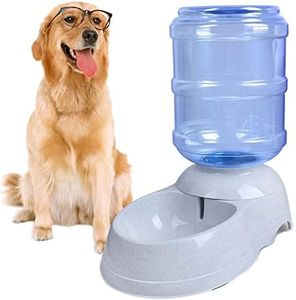 Pet Water 