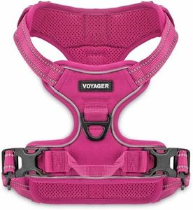 Voyager by Best Pet Supplies -Dual-Attachment No-Pull Adjustable Harness with 3M Reflective Technology, (Fuchsia, Large)