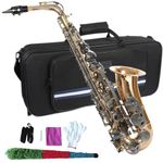 KAYATA Superior Alto Saxophone with Clear Lacquer Finish, Black Nickle Plated Keys,E Flat high F# Alto Sax,Full Kit With Carrying Deluxe Canvas Sax Case .94# Copper.