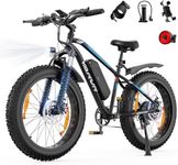 VARUN Electric Bikes for Adults, 26''* 4.0 Fat Tire Electric Mountain Bike with 48V/13Ah Lithium Battery, LCD Display with 5-PAS, E-fatbike with 4 Riding Mode, Mileage 100KM