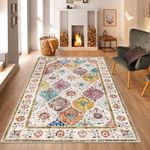 SHACOS Rugs Washable Small Rug for Living Room Non Slip Vintage Area Rug for Bedroom Floral Print Bobo Rug Doorway Entryway Floor Carpet Rug for Dining Room Kitchen Nursery Room, 90x150 CM, Colourful