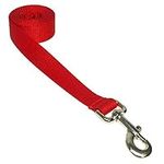 Large Red Nylon Webbing Dog Leash: 