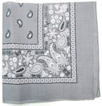 Kaiser Novelty Bandanas Paisley Cotton Bandanas (Grey, 22 x 22 Inches)