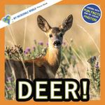 Deer!: A My Incredible World Picture Book for Children