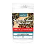 AllPondSolutions Water Feature Ornament Fountain Cleaner Treatment, Keeps Water Crystal Clear - Removes Algae Dirt and Green Water - Treats 140 Litres