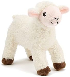 Zappi Co J