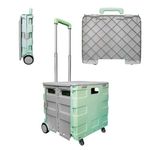 Berry 40 KG Foldable Shopping Trolley - Mint Green & Grey, Plastic Trolley Cart with 4 Wheels and Lid, Portable Cart with Telescopic Handle, Multipurpose Utility Cart for Shopping, Teacher, Laundry