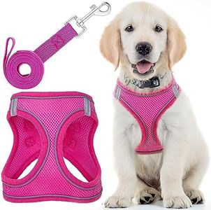 Pettorina per cani con guinzaglio - Piccola, rosa - Imbottitura morbida e anti-tiro Pettorina per animali domestici con strisce riflettenti - di EcoEarth