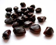 1kg Tamarind Seeds TAMARIN Seeds **Free U.K Post ** AMBLIYA AMBALIYA TAMARINO TAMARINDO Seeds