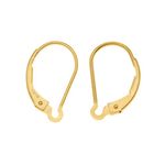 BeadaholiqueCA Filled Earrings Interchangeable Lever Backs, Gold