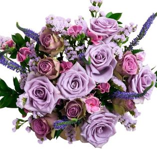 Martha Stewart x UrbanStems Double Cool Water, Purple Rose Fresh Flowers Bouquet