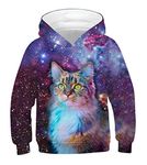 JSJCHENG 3D Animal Print Hoodies for Boys Girls Hooded Pullover Sweatshirts for 4-15 Years(Universe Cat, 11-13 Years)