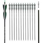 LWANO 30Inch Carbon Arrow Archery H