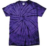 Colortone Tonal Spider T - Purple Blank Plain Shirts 2XL TD01M