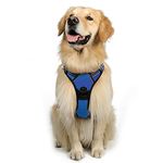 rabbitgoo Dog Harness Large Dog No Pull Pet Harness with 2 Leash Clips, Adjustable Soft Padded Pet Vest Harness, Reflective No-Choke with Easy Control Handle for Training or Walking, Blue, L