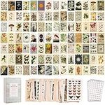 100PCS Vintage Photo Wall Collage Kit Aesthetic Posters, Double-Sided Printed Botanical Illustration Tarot Aesthetic Pictures for Cottage Core Vintage Room Decor (Vintage Set of 200Pictures)