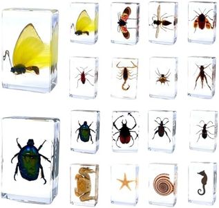 16Pcs Bugs