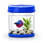 rizopets Mini Aquarium Fish Tank | Tank for Betta Fish | Suitable for Home Office, & Living Room (Not Suitable for Goldfish Ideal for Betta/Guppy (1–2) Size 16x18x14 cm) (Blue)