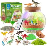 Dinosaur Light-Up Terrarium Kit for