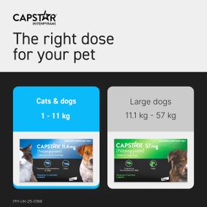 Capstar Flea Tablets for Cats & Small Dogs – Fast-Acting Oral Treatment