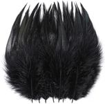 Holmgren Black Craft Feathers Bulk 