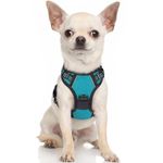 rabbitgoo Dog Harness, No-Pull Pet Harness with 2 Leash Clips, Adjustable Soft Padded Dog Vest, Reflective No-Choke Pet Oxford Vest with Easy Control Handle for Small Dogs, Teal, XS