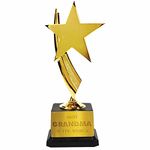 Jhingalala Gift for Grandma | Best Grandma in The World Printed Golden Award Trophy Gift for Birthday, Anniversary