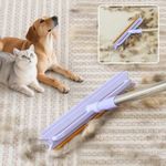 Pawlico Carpet Rake 2 in1 Pet Hair