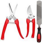 3pcs Goat Hoof Trimmers and File, Nail Clippers for Goats Hoof Nippers Curved/Straight Head Sheep Hoof Trimming Shears Hoof Rasp Horseshoe File for Goat Sheep Lamb Pig Animal Hooves (Red)