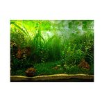 Zerodis PVC Aquarium Background Poster,Water Grass Style PVC Adhesive Static Aquarium Wallpaper Background(61 * 41cm)