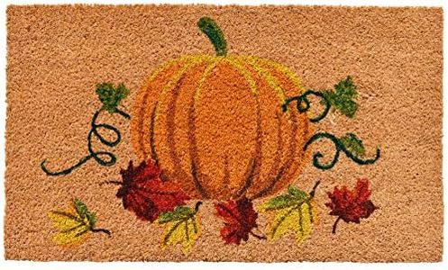 Calloway Mills 121981729 Nature's Bounty Doormat, 17" x 29", Multicolor