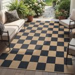Lahome Checkered Easy Jute Area Rug