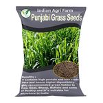 Agway Grass Seed