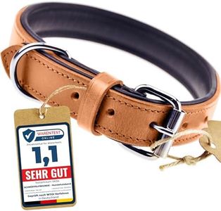 Schnüffelfreunde Leather Dog Collar, Dog Collar for Large, Medium and Small Dogs, Leather Collar Padded, Robust (M - 28-36 cm, Beige)