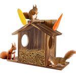 Corn For Squirrel Feeders For Outside