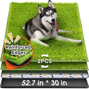 Hompet Dog
