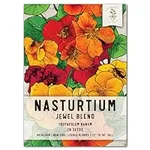 Seed Needs, Jewel Blend/Mix Nasturtium Seeds for Planting (Edible Wildflowers, Perfect for Garnishing) Heirloom, Non-GMO & Untreated (1 Pack)