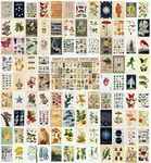 LCLAIDYDY 100 PCS Vintage Postcard Set,Post Cards for Mailing 4x6 Retro Style Cottagecore Botanical Ephemera Aesthetic Postcards Pack for Adults Collage Collection DIY Cardstock Paper (LCL-22)