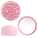 Travel Hair Brush and Mirror Portable Pocket Frizz Ease Detangling Hairbrush Small Tangle Teaser Massage Comb Set Round Curly Wavy Hair Brush Fine Thick Hair Brush for Women Kids Girls Pink