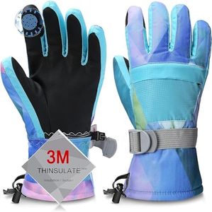 Ski Gloves