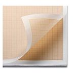 CRAFTWAFT TRACING GRAPH PAPER (10)