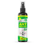 Home-Secure Ant Repellent Spray-100 ml | Natural Chemical Free Ant Repellent For Home | Eco-Friendly Herbal Ant Killer Effective Against Black and Red Ants